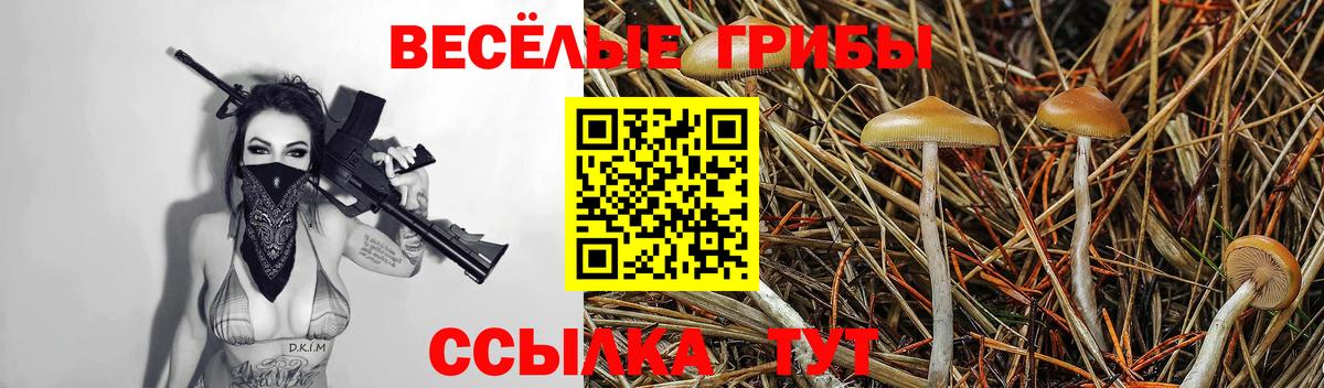 Галлюциногенные грибы прущие грибы Урус-Мартан